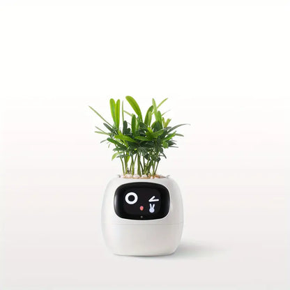 Smart Pot For Plants