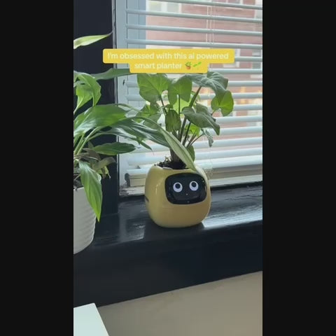 Smart Pot For Plants